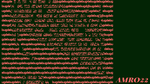 AMRO22 Debug Sujet